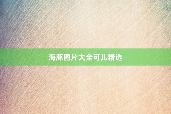 海豚图片大全可儿精选