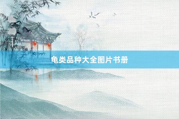 龟类品种大全图片书册